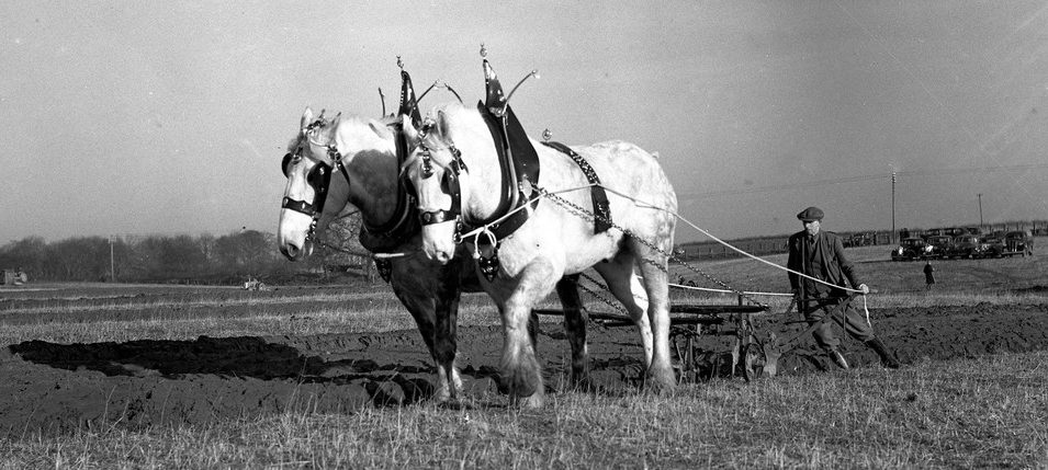 07-Plough and Horses BRO 1944 1 2 7